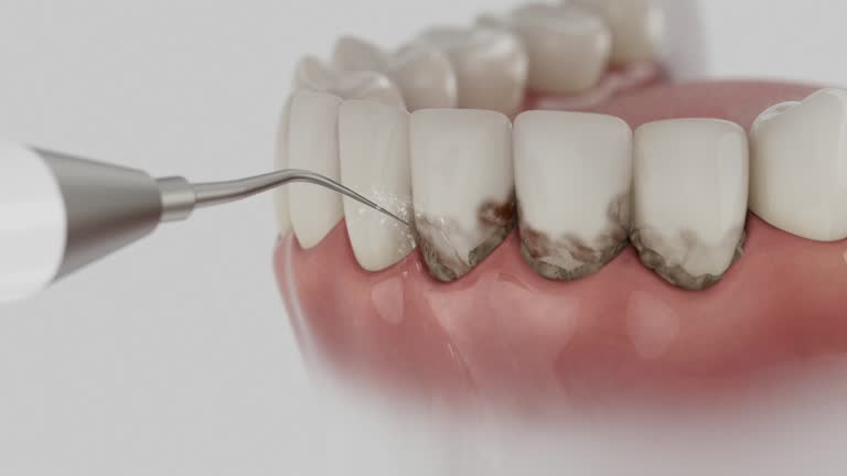 Reliable Dental contractor in Meagher County County, MT by Dentist Open Now